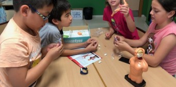 Repaso del curso de Natural Science: 4º de Ed. Primaria