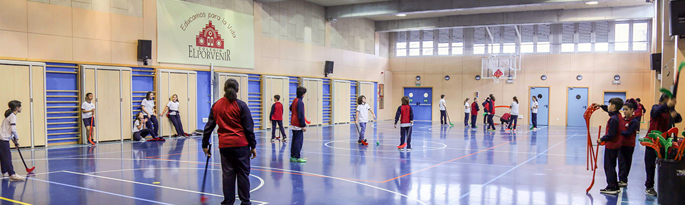 Educación Física y Deportes coelgio El Porvenir