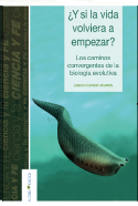 Ciencia y fe en el padre del Big Bang, Georges Lemaître