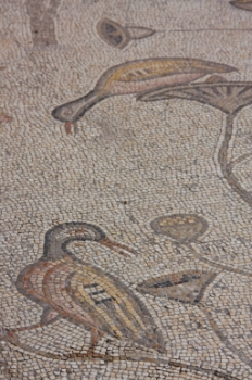"Mosaicos en la iglesia de la Multiplicacin en Tabgha, Israel"