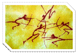 "Pintura rupestre, Cueva Morella, Castelln"