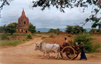 "Campesinos en Myanmar"