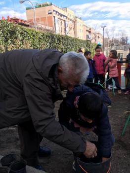 Nuestro huerto cuenta con la ayuda del abuelo Evaristo