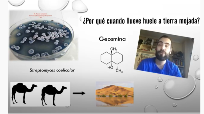 La ciencia MOLA: ¿por qué cuando llueve huele a tierra mojada? El Departamento del Ciencias del cole te lo explica