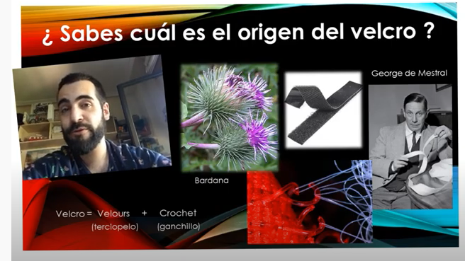 ¡Atención, familias, pregunta de Trivial! ¿Sabéis cuál es el origen del velcro?