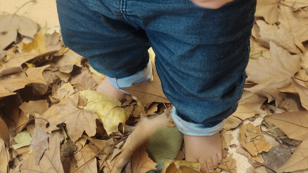 La manipulación de materiales sensoriales como las hojas de otoño y sus beneficios en los más pequeños