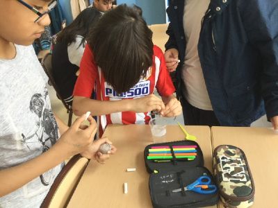 Project Science El Porvenir 6º Primaria