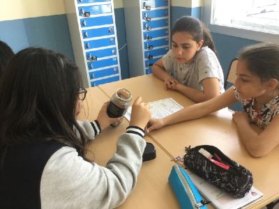 Project Science El Porvenir 6º Primaria