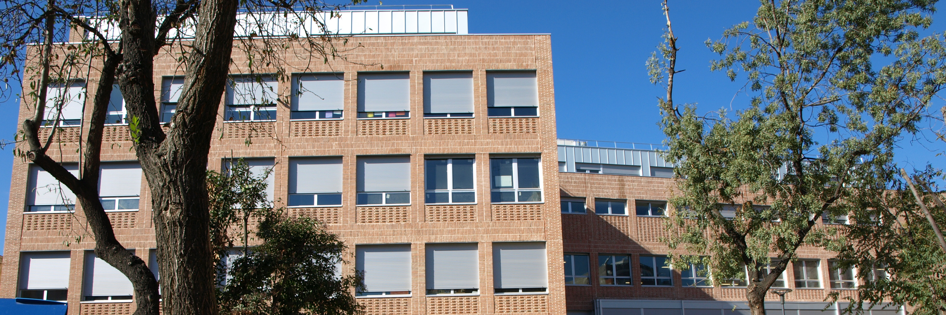 Cómo hemos comenzado el cole en Primaria