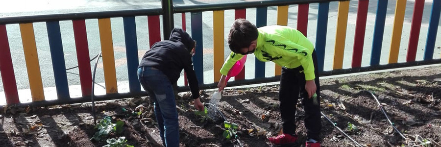 Comenzamos a trabajar en el Huerto Escolar, ¡qué ganas teníamos!