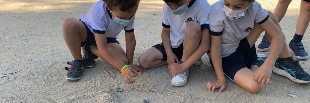 “Traditional Games” in Physical Education (1º-2º) - “Juegos Tradicionales” en Educación Física (1º-2º)