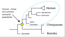 Curso "Introducción a la Evolución. Biología evolutiva para no especialistas"